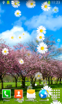 Free Cherry Blossom Live Wallpapers screenshot 4/6