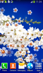 Free Cherry Blossom Live Wallpapers screenshot 5/6