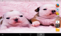 Cutest Puppies Live screenshot 2/6