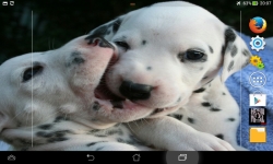 Cutest Puppies Live screenshot 3/6
