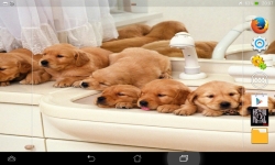 Cutest Puppies Live screenshot 6/6