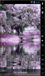Awesome Lilac Tree Live Wallpaper screenshot 2/2