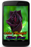 Most Beautiful Black Roses screenshot 1/3