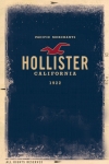 Hollister screenshot 1/1