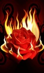 Rose Flaming Live Wallpaper screenshot 1/6