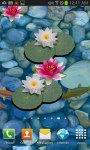 3D Koi Pond Live Wallpaper free screenshot 3/3