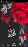 Allah Islamic Rose LWP screenshot 1/3