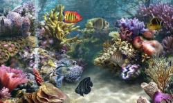 Aquarium wallpaper hd screenshot 4/6