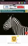 zebra around the world 4k images and background  screenshot 3/6