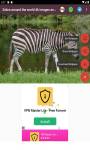 zebra around the world 4k images and background  screenshot 6/6