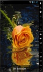 Beautiful Orange Rose Live Wallpaper screenshot 1/2
