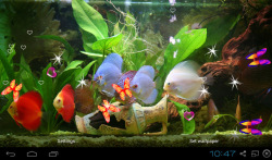 3D Discus Aquarium Live Wallpapers screenshot 1/4
