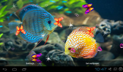 3D Discus Aquarium Live Wallpapers screenshot 2/4