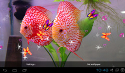 3D Discus Aquarium Live Wallpapers screenshot 3/4
