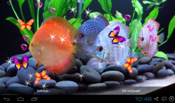 3D Discus Aquarium Live Wallpapers screenshot 4/4