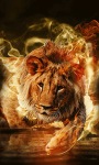 Lion In Fire Live Wallpaper screenshot 1/3