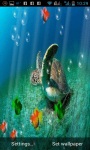 Sea Turtle Aquarium Live Wallpaper screenshot 3/3