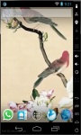Parakeets HD Live Wallpaper screenshot 3/3