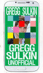 Gregg Sulkin Puzzle screenshot 4/6