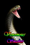 Snakes Venomous screenshot 1/3