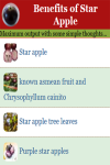 Benefits of Star Apple screenshot 3/4
