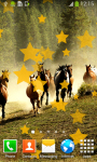 Top Horses Live Wallpapers screenshot 4/6