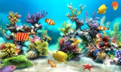 Aquarium HD NEW Live Wallpaper screenshot 5/5