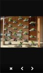 Garden Plant Ideas screenshot 5/6