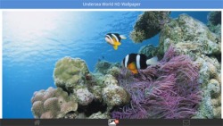 Undersea World HD Wallpapers screenshot 2/6