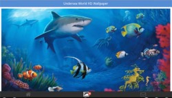 Undersea World HD Wallpapers screenshot 4/6