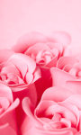 Pink Roses Live Wallpaper for Android screenshot 2/6