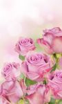 Pink Roses Live Wallpaper for Android screenshot 5/6