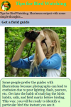Tips for Bird Watching screenshot 3/3