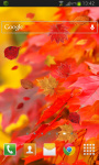 Autumn Leaves HD Free screenshot 2/2