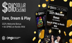 Big Dollar Online Casino screenshot 1/6