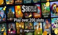 Big Dollar Online Casino screenshot 3/6