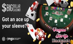 Big Dollar Online Casino screenshot 2/6