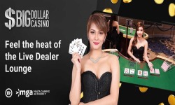 Big Dollar Online Casino screenshot 5/6