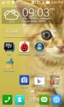 Cute Cat Wallpapers HD screenshot 4/6