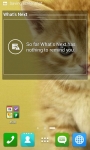 Cute Cat Wallpapers HD screenshot 5/6