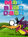 Mad Bird Dash screenshot 1/1