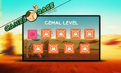 Camel Race 2016 3D screenshot 2/5