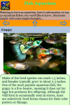 Aquarium Fish  screenshot 4/4