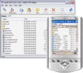 SoftX FTP Client screenshot 1/1