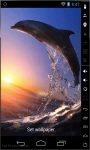 Jumping Dolphin LWP screenshot 2/2