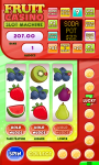 Fruit Casino Slot Machine screenshot 2/6