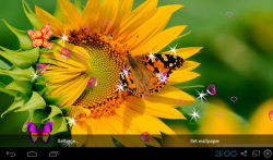 3D Sunflower Wallpapers screenshot 4/5