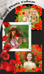 Poppy Photo Collage screenshot 1/6