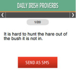 Daily Irish Proverbs S40 screenshot 1/1