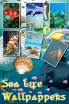 Sea Life Wallpapers screenshot 1/1